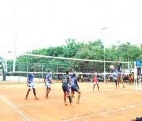 Volley ball5